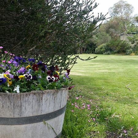 Padthaway Caravan Park מראה חיצוני תמונה